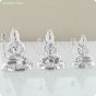 925 Silver idols (Shivji)